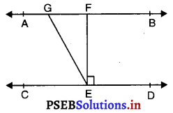 PSEB 9th Class Maths MCQ Chapter 6 रेखाएँ और कोण 14