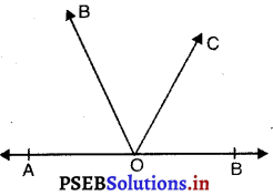 PSEB 9th Class Maths MCQ Chapter 6 रेखाएँ और कोण 19