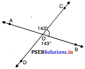 PSEB 9th Class Maths MCQ Chapter 6 रेखाएँ और कोण 28
