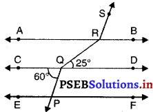 PSEB 9th Class Maths MCQ Chapter 6 रेखाएँ और कोण 29