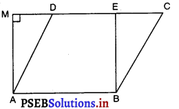 PSEB 9th Class Maths MCQ Chapter 9 समान्तर चतुर्भुज और त्रिभुजों के क्षेत्रफल 9