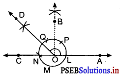 PSEB 9th Class Maths Solutions Chapter 11 रचनाएँ Ex 11.1 27