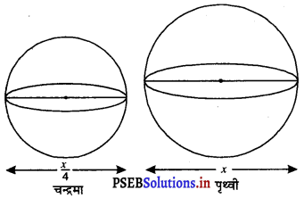 PSEB 9th Class Maths Solutions Chapter 13 पृष्ठीय क्षेत्रफल एवं आयतन Ex 13.4 6