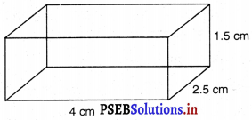 PSEB 9th Class Maths Solutions Chapter 13 पृष्ठीय क्षेत्रफल एवं आयतन Ex 13.5 1