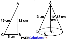 PSEB 9th Class Maths Solutions Chapter 13 पृष्ठीय क्षेत्रफल एवं आयतन Ex 13.7 11