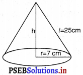 PSEB 9th Class Maths Solutions Chapter 13 पृष्ठीय क्षेत्रफल एवं आयतन Ex 13.7 3