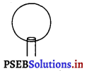 PSEB 9th Class Maths Solutions Chapter 13 पृष्ठीय क्षेत्रफल एवं आयतन Ex 13.9 3