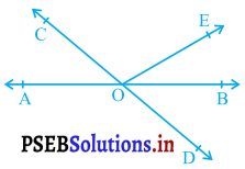 PSEB 9th Class Maths Solutions Chapter 6 रेखाएँ और कोण Ex 6.1 - 1