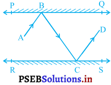 PSEB 9th Class Maths Solutions Chapter 6 रेखाएँ और कोण Ex 6.2 - 7