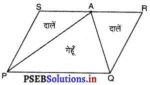 PSEB 9th Class Maths Solutions Chapter 9 समान्तर चतुर्भुज और त्रिभुजों के क्षेत्रफल Ex 9.2 - 6
